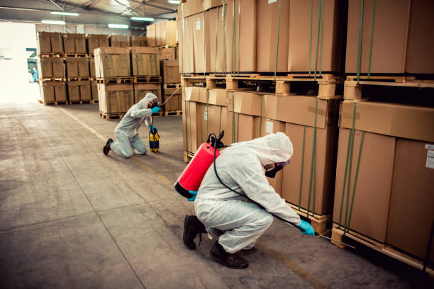 Best Bed Bug Extermination  in Tri City, OR