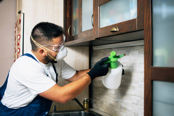 Best Pest Removal Services  in Tri City, OR