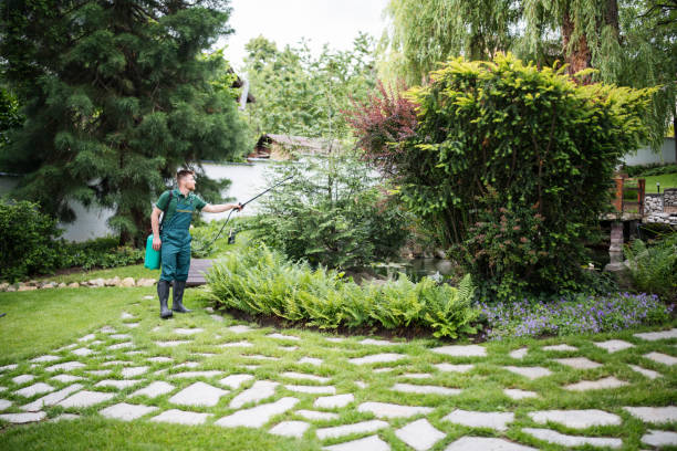 Best Wasp Removal Services  in Tri City, OR