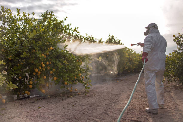 Best Best Pest Control Companies  in Tri City, OR