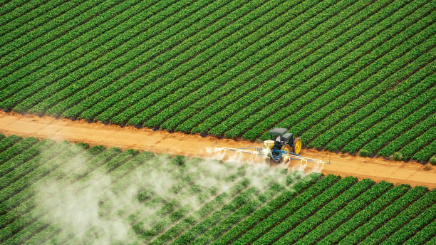 Best Pest Control for Businesses  in Tri City, OR