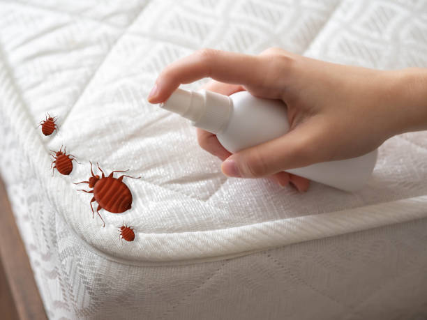 Best Pest Control for Restaurants  in Tri City, OR