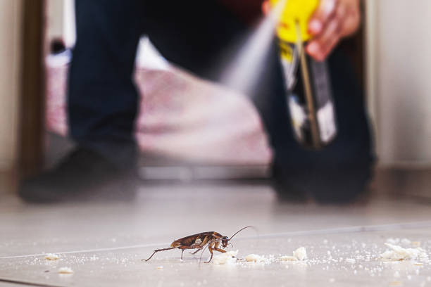 Best Pest Control Cost  in Tri City, OR