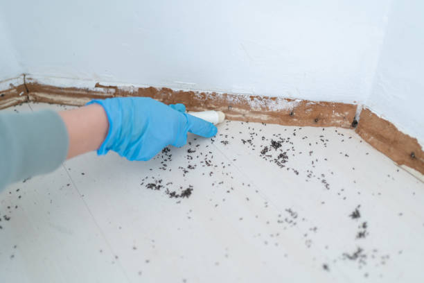 Best Local Pest Control Services  in Tri City, OR
